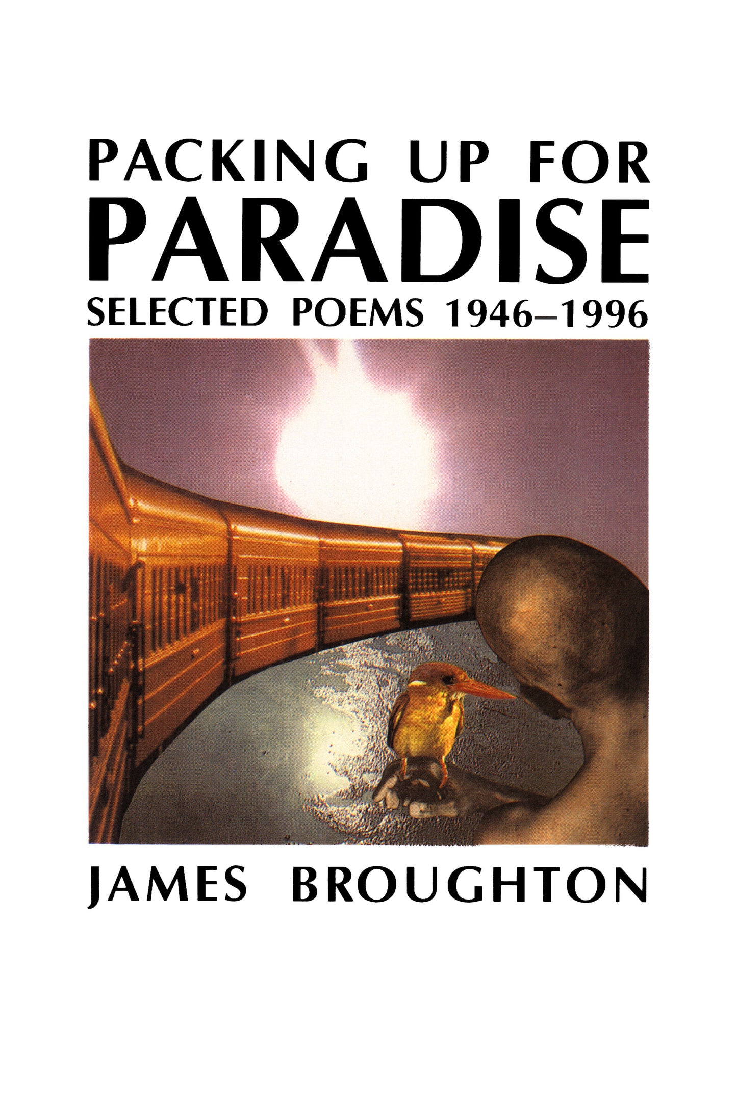 Packing Up for Paradise - SAVE 50%!