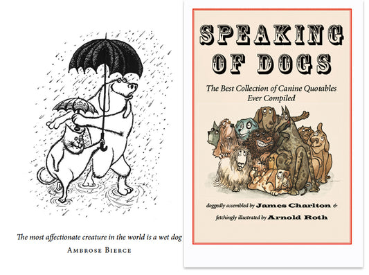 Speaking of Dogs: Book & Greeting Cards Set