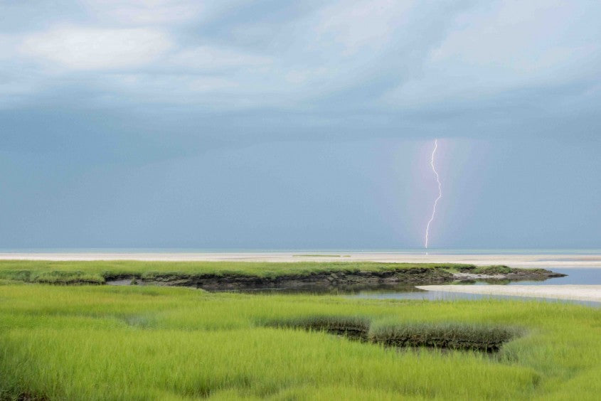 On Cape Cod Greeting Cards